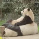 칼트칼터칼트 이미지