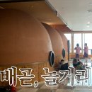 더죤스파24시사우나 | 배곧스파24시사우나 다녀온 후기 내돈내산 배곧사우나 아이와 가기 좋은 곳