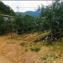 동문로 R 이미지