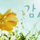 더감사