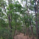 분당-384 이미지