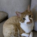 지산동물병원 이미지