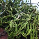 일출하우스 이미지