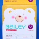베일리 짐 이미지