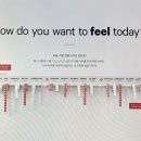 비유비웰 | Lululemon Be You Be Well Festival 룰루레몬 비유비웰 페스티벌