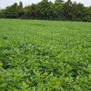 이석호공인중개사사무소 이미지