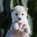 구월2동-16 이미지