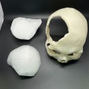 티앤알바이오팹 이미지