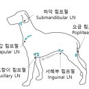 숲동물병원 이미지