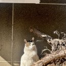 굴포천자전거길3R | 2월 첫째 주 일상 기록 💗 / 영화 만약에 우리, 부평 실리제롬, 부여 궁남지, 결혼식