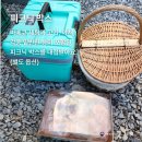 스테이구들 이미지