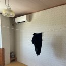 만남의집민박 | 가고시마 요론섬 숙소 민슈쿠묘조소 은하수 보이는 일본시골 민박집