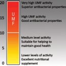 마누카굴병에 표시된 UMF 15+가 무슨 뜻일까? 이미지