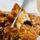 타코잉닭 이미지