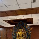 (주)아시안비즈네트웍스 | 카타르 항공 비행일기 | 🇳🇵 KTM | 데드헤딩은 첨입니다만?, 첫 카푸❣️