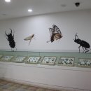 더 시카고 짬뽕 Daum카페