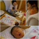 알콩이네 이미지