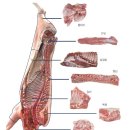 돼지한마리 이미지
