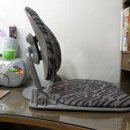 프로애견 이미지