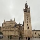 디자인띤또 | 🇪🇸 스페인 여행기 6일차 - 알카사르, 스페인 광장, 세비야 대성당, 세비야 맛집, 세비야 카페
