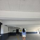 다도교실 | 부산여행ㅡ2일차 비비비당 디저트맛집 방문 후기