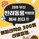 코지하우스 켄넬 | 2019 부산 반려 동물 박람회 일정, 이벤트 및 입장 관련 안내