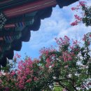 중앙공원 앞 이미지