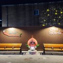 홍도지하보도 이미지