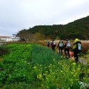 세포삼거리 이미지