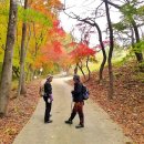 부산23산우회 경부합동산행 김천 직지사/2017.10.29 2부 이미지