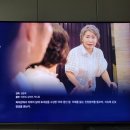 영화 ‘가시나무새’ IP-TV 네트워크 2026년 1월9일 개봉 이미지