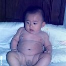 아낙(ANAK)