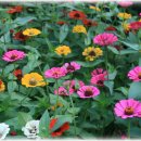 석곡서당 이미지