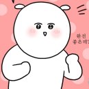 명랑돼지