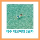 빈티지칵티 | 제주 태교 여행 3일차 : 아망딘테이블 콜체스 협재해수욕장 푸른호텔