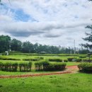 금천배수지근린공원 이미지