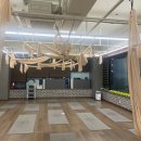 베테랑생돈까스앤커피 | 유연성 없는 초보도 가능한 플라잉요가와 힐링 시설, 오엠요가 플라잉 앤 필라테스 후기/무료체험 정보