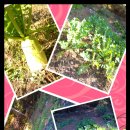 현민농장 이미지