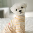 멍꿀잠 이미지
