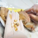원리영농조합 이미지