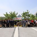 허브사랑 이미지