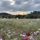 화랑유원지건너편 이미지