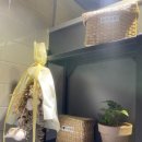 돈벼락김치삼겹살 이미지