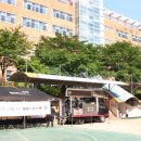 교촌치킨잠실 헤럴드경제
