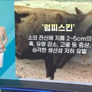 중앙농촌복지재단 이미지