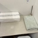 스테이애옥 이미지