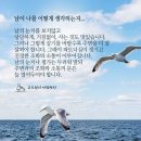 [영어 회화] Name(이름) 이미지