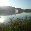 승한국제