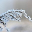 코스트코 공세점 이미지