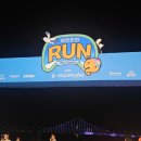 A-10 | [마라톤] 부산 무도런 10KM 후기